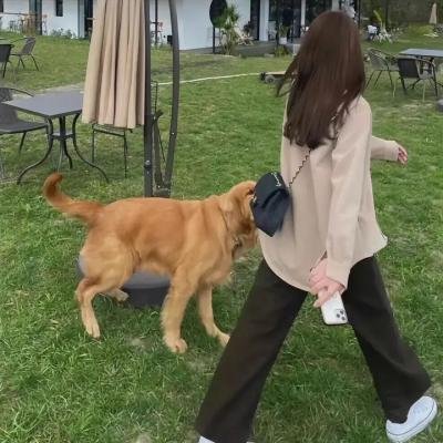 我的长征